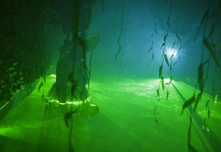 Workhouse Haunt 11.jpg