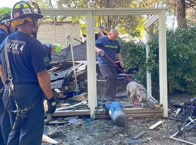 dog rescued rubble haymarket2.jpg