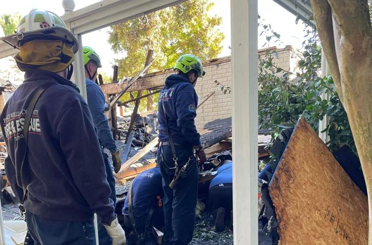 dog rescued rubble haymarket.jpg